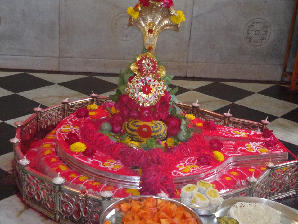 Kaal-Sarp-Shanti-Puja