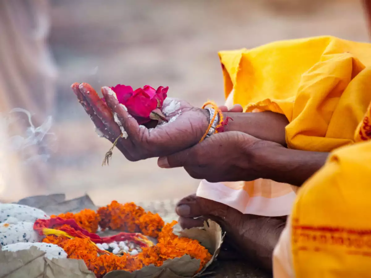 Pitra dosh