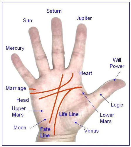 palmestry